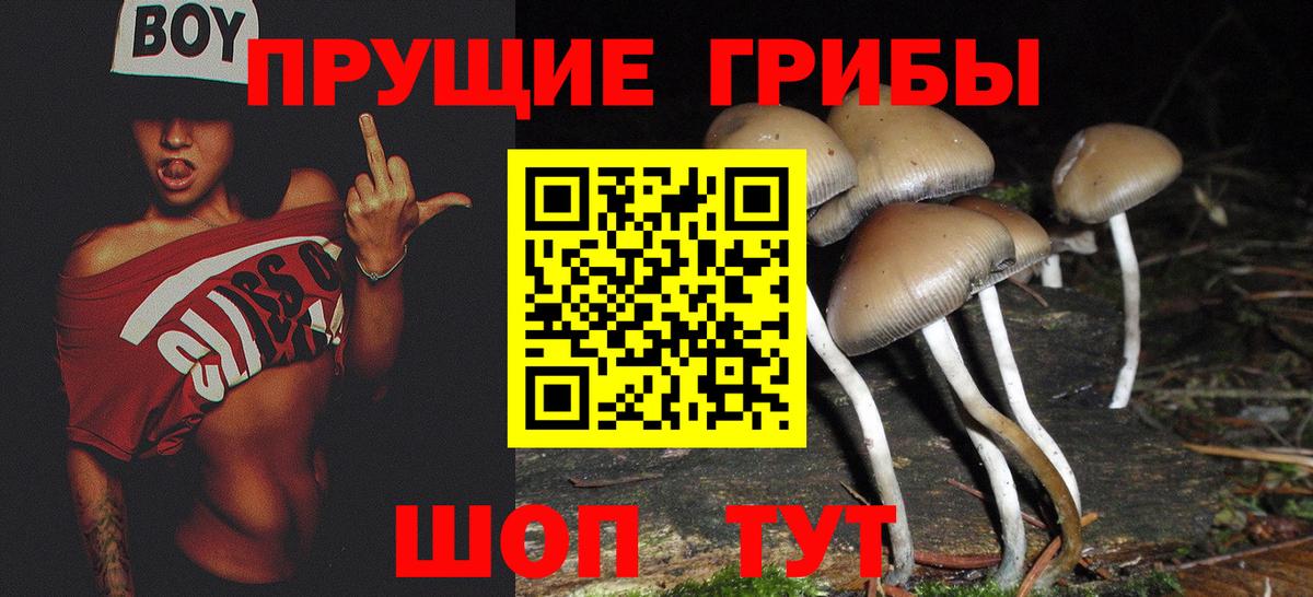 Сергиев Посад  Галлюциногенные грибы Cubensis  Вход с VPN 